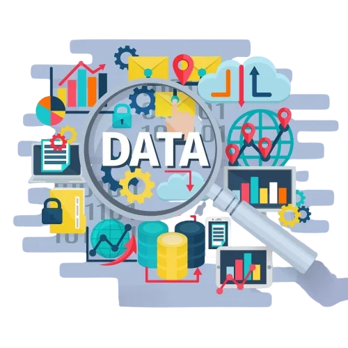 data management services